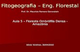 Fitogeografia – Eng. Florestal Aula 5 – Floresta Ombrófila Densa - Amazônia bDois Vizinhos, 30/04/2010 Prof. Dr. Mauricio Romero Gorenstein.