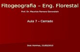 Fitogeografia – Eng. Florestal Aula 7 – Cerrado Dois Vizinhos, 21/05/2010 Prof. Dr. Mauricio Romero Gorenstein.