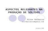 ASPECTOS RELEVANTES NA PRODUÇÃO DE SÓLIDOS Aline Baldasso alinebaldasso@gmail.com Setembro/2008.