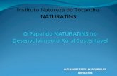 ALEXANDRE TADEU M. RODRIGUES PRESIDENTE Instituto Natureza do Tocantins NATURATINS.