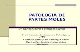 PATOLOGIA DE PARTES MOLES Dr. Carlos Alberto Fernandes Ramos Prof. Adjunto de Anatomia Patológica, UFPB Chefe do Serviço de Patologia HULW Médico Patologista.