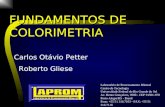 FUNDAMENTOS DE COLORIMETRIA Carlos Otávio Petter Roberto Gliese Laboratório de Processamento Mineral Centro de Tecnologia Universidade Federal do Rio Grande.