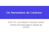 Os Nanotubos de Carbono Prof. Dr. Luis Alberto Terrazos Javier Centro de Educação e Saúde da UFCG.