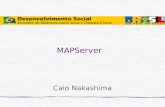 MAPServer Caio Nakashima. Webmapping é uma técnica para visualização de dados geográficos através de aplicações web (Internet/Intranet). Dependendo do.