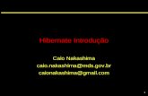 1 Hibernate Introdução Caio Nakashima caio.nakashima@mds.gov.br caionakashima@gmail.com.