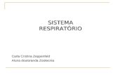 SISTEMA RESPIRATÓRIO Carla Cristina Zeppenfeld Aluna doutoranda Zootecnia.