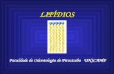 LIPÍDIOS Faculdade de Odontologia de Piracicaba UNICAMP.