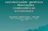 Geração da variabilidade genética - Aberrações cromossômicas estruturais Disciplina: Genética Geral – BEG 5438 Prof: Giorgini A. Venturieri – Eng. Agro.
