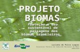 1 Luciana de Paiva Luquez Assessora Técnica da Comissão Nacional do Meio Ambiente PROJETO BIOMAS Proteção e uso sustentável de paisagens dos biomas brasileiros.