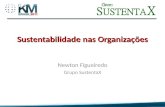 Sustentabilidade nas Organizações Newton Figueiredo Grupo SustentaX 1.