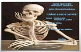 Local: Policlínica Colombo Setor: Radiologia Convencional Período: de 01/06/2013 à 01/07/2013 Levantamento de exames realizados: crânio e seios da face.