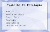 Trabalho De Patologia Bursite Hernia De Disco Cervicalgia Tendinite Sacroileíte Fratura Do Cóccix.
