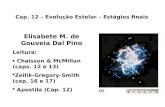 Cap. 12 – Evolução Estelar – Estágios finais Elisabete M. de Gouveia Dal Pino Leitura: Chaisson & McMillan (caps. 12 e 13) Zeilik-Gregory-Smith (cap. 16.