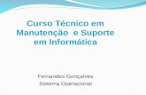 Curso Técnico em Manutenção e Suporte em Informática Fernandes Gonçalves Sistema Operacional.