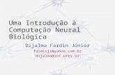 Uma Introdução à Computação Neural Biológica Dijalma Fardin Júnior fardinjr@yahoo.com.br dijalma@inf.ufes.br.