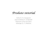 Produto vetorial Anliy N. N. Sargeant José Antônio A. Andrade Mariane Urias da Silva Solange G. F. Martins.
