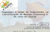 Segurança e Saúde do Trabalhador na Certificação do Manejo Florestal e da Cana- de-açúcar Fabiano Silva Auditor em Programas de Certificação Doutor em.
