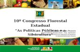 10º Congresso Florestal Estadual As Políticas Públicas e a Silvicultura Elvison Nunes Ramos Fiscal Federal Agropecuário – Eng. Agrônomo Coordenador de.