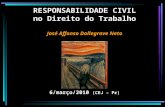 RESPONSABILIDADE CIVIL no Direito do Trabalho José Affonso Dallegrave Neto 6/março/2010 (CEJ – Pr)