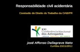 Responsabilidade civil acidentária Comissão de Direito do Trabalho da OAB/PR José Affonso Dallegrave Neto Curitiba 23/11/2011.