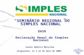 SEMINÁRIO REGIONAL DO SIMPLES NACIONAL DASN Declaração Anual do Simples Nacional Juarez Américo Motyczka Uruguaiana, 21 e 22 de maio de 2009.