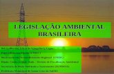 LEGISLAÇÃO AMBIENTAL BRASILEIRA Bel.Guilherme Eduardo Spiegelberg Lopes Especialista em Direito (UNISC) Mestrando em Desenvolvimento Regional (UNISC) Depto.