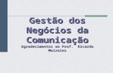 Gestão dos Negócios da Comunicação Agradecimentos ao Prof. Ricardo Meireles.