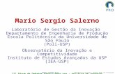Mario Sergio Salerno Escola Politécnica da USP – Depto Eng a de Produção Mario Sergio Salerno Laboratório de Gestão da Inovação Departamento de Engenharia.