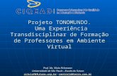 Projeto TONOMUNDO. Uma Experiência Transdisciplinar de Formação de Professores em Ambiente Virtual Prof. Ms. Silvia Fichmann Universidade de São Paulo.