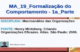 MA_19_Formalização do Comportamento - 1a_Parte1 DISCIPLINA: Macroanálise das Organizações FONTE: Henry Mintzberg. Criando Organizações Eficazes. Atlas.