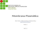 Membrana Plasmática Prof. M.Sc. Fábio Henrique Oliveira Silva fabio.silva@svc.ifmt.edu.br Parte 1 2011.1 fabio.silva@svc.ifmt.edu.br.