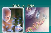 DNA e RNA. Substâncias químicas envolvidas na transmissão de caracteres hereditários e na produção de proteínas. São ácidos nucléicos encontrados em todas.