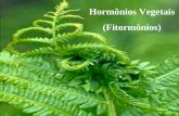 Hormônios Vegetais (Fitormônios) FITORMÔNIOS O crescimento de uma planta é ocasionado pela divisão de suas células e pelo seu posterior aumento de volume.
