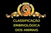 CLASSIFICAÇÃO EMBRIOLÓGICA DOS ANIMAIS. PARAZOÁRIOS Com tecidos pouco organizados Sem órgãos e sem sistemas poríferos.