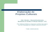 Elaboração de Projetos Culturais Aldo Valentim – Mestre/Artes/Unicamp Mestrando em Gestão e Políticas Públicas - FGV Prof. Políticas Públicas e Aspectos.