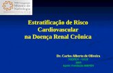 Estratificação de Risco Cardiovascular na Doença Renal Crônica Dr. Carlos Alberto de Oliveira NIEPEN – UFJF 2009 Apoio: Fundação IMEPEN.