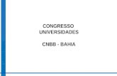 CONGRESSO UNIVERSIDADES CNBB - BAHIA. REALIDADE DAS IES NO BRASIL PERFIL DO AGENTE DE PASTORAL.
