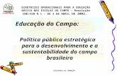 ASSESSORIA DE FORMAÇÃO Educação do Campo: Política pública estratégica para o desenvolvimento e a sustentabilidade do campo brasileiro DIRETRIZES OPERACIONAIS.
