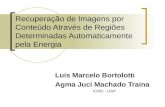 Recuperação de Imagens por Conteúdo Através de Regiões Determinadas Automaticamente pela Energia Luis Marcelo Bortolotti Agma Juci Machado Traina ICMC.
