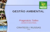 GESTÃO AMBIENTAL Pragmácio Telles Especialista em Direito Ambiental Especialista em Auditoria Ambiental CRATEÚS / RUSSAS 2010.