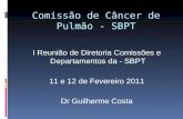 Comissão de Câncer de Pulmão - SBPT I Reunião de Diretoria Comissões e Departamentos da - SBPT 11 e 12 de Fevereiro 2011 Dr Guilherme Costa.