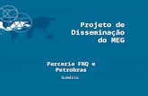 Projeto de Disseminação do MEG Parceria FNQ e Petrobras Sumário.