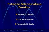 Polipose Adenomatosa Familiar Eliza de O. Borges Ludmila B. Coelho Nayara de M. Araújo.