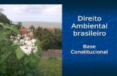 Direito Ambiental brasileiro Base Constitucional