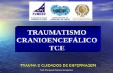 Prof. Fernando Ramos Gonçalves TRAUMATISMO CRANIOENCEFÁLICO TCE TRAUMA E CUIDADOS DE ENFERMAGEM.