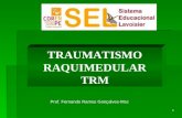 1 TRAUMATISMO RAQUIMEDULAR TRM Prof. Fernando Ramos Gonçalves-Msc.