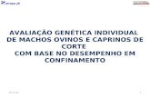 AVALIAÇÃO GENÉTICA INDIVIDUAL DE MACHOS OVINOS E CAPRINOS DE CORTE COM BASE NO DESEMPENHO EM CONFINAMENTO 21/4/20141.