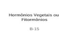 Hormônios Vegetais ou Fitormônios B-15. Regulam o desenvolvimento e o crescimento das plantas Pequenas quantidade.