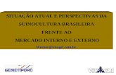 SITUAÇÃO ATUAL E PERSPECTIVAS DA SUINOCULTURA BRASILEIRA FRENTE AO MERCADO INTERNO E EXTERNO Werner@vitagri.com.br.