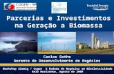 1 1 Carlos Gothe Gerente de Desenvolvimento de Negócios Parcerias e Investimentos na Geração a Biomassa Workshop Siamig / Cogen & Rodada de Negócios em.